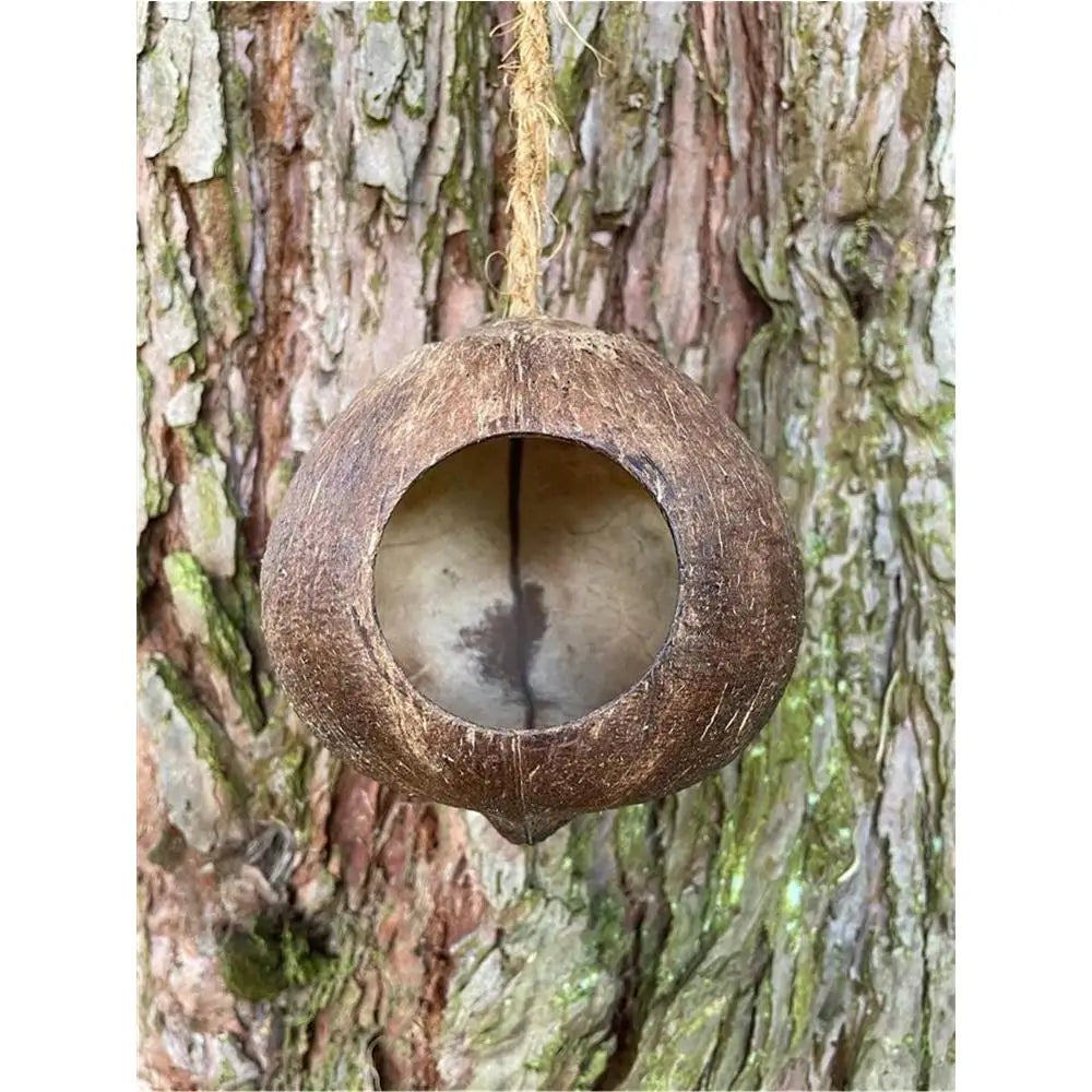 100% Natur: Vogelfutterhaus aus Kokosnussschale