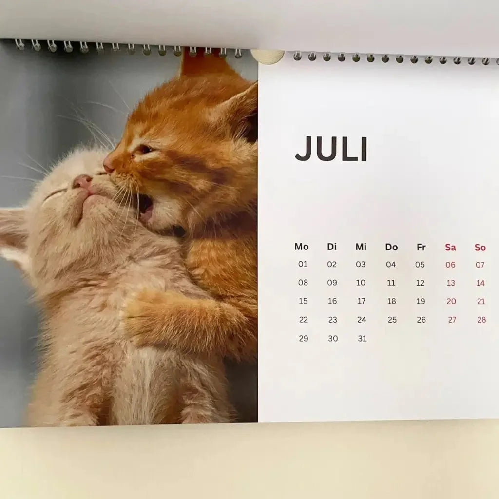 2024 Wandkalender mit Baby-Katzen Bildern – Exklusiver