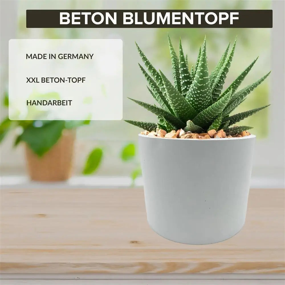 Blumentopf Pflanzen Topf aus Zement Beton Modern